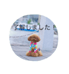 こぐまのこぐたん（個別スタンプ：5）