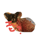 kotaroow（個別スタンプ：7）