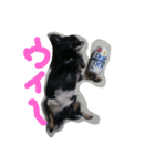 kotaroow（個別スタンプ：8）
