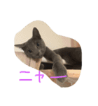 LIFELIFELIFELIFE2（個別スタンプ：14）