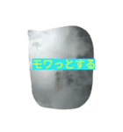 日常生活に溶け込むよ（個別スタンプ：5）
