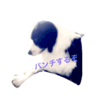 faith（個別スタンプ：1）
