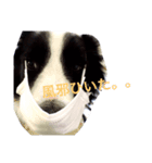 faith（個別スタンプ：2）