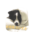 faith（個別スタンプ：4）