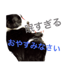 faith（個別スタンプ：5）