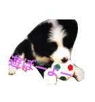 faith（個別スタンプ：6）