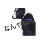 faith（個別スタンプ：7）