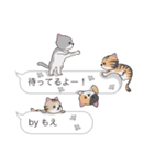 【もえ】猫だらけの吹き出し（個別スタンプ：15）