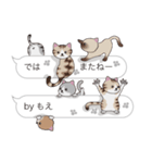 【もえ】猫だらけの吹き出し（個別スタンプ：40）