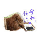 あずきちゃんスタンプ2（個別スタンプ：4）