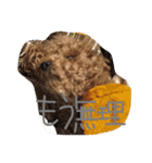 あずきちゃんスタンプ2（個別スタンプ：6）