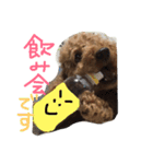 あずきちゃんスタンプ2（個別スタンプ：8）