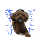 あずきちゃんスタンプ2（個別スタンプ：11）
