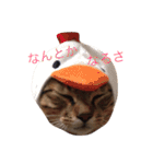 うちの子風太vol.1（個別スタンプ：6）