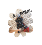 ネナ（個別スタンプ：3）