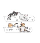 【まな】猫だらけの吹き出し（個別スタンプ：35）