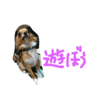 ここああああああ（個別スタンプ：2）