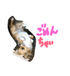 ここああああああ（個別スタンプ：3）