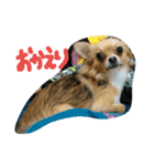 ここああああああ（個別スタンプ：4）