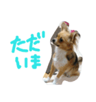 ここああああああ（個別スタンプ：7）