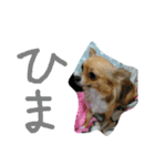 ここああああああ（個別スタンプ：8）