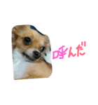 ここああああああ（個別スタンプ：10）
