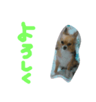 ここああああああ（個別スタンプ：13）