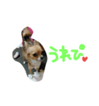 ここああああああ（個別スタンプ：14）