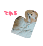 ここああああああ（個別スタンプ：16）