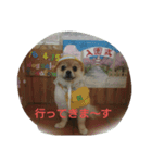 蒼空くんの日常（個別スタンプ：1）