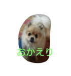 蒼空くんの日常（個別スタンプ：4）