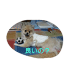 蒼空くんの日常（個別スタンプ：6）