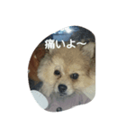 蒼空くんの日常（個別スタンプ：7）