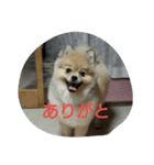 蒼空くんの日常（個別スタンプ：8）