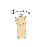 くまとぷれーりーどっぐ（個別スタンプ：22）