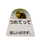 ソマリのロック。普段使いスタンプ(1)（個別スタンプ：10）
