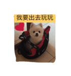 MiMiBaby（個別スタンプ：3）