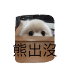 MiMiBaby（個別スタンプ：7）