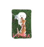 ひとことメッセージ 猫＆犬バージョン part1（個別スタンプ：2）