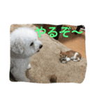 ひとことメッセージ 猫＆犬バージョン part1（個別スタンプ：22）