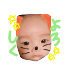 我が家の息子くんスタンプ（個別スタンプ：5）