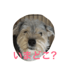 いまどこ？（個別スタンプ：1）