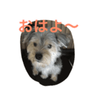いまどこ？（個別スタンプ：2）