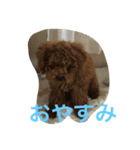 いまどこ？（個別スタンプ：3）