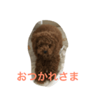 いまどこ？（個別スタンプ：4）