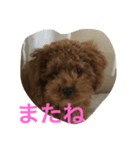 いまどこ？（個別スタンプ：6）