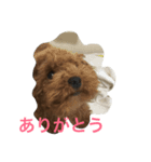 いまどこ？（個別スタンプ：7）