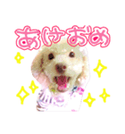 お正月うにくん（個別スタンプ：3）