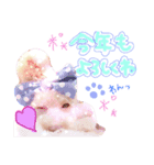 お正月うにくん（個別スタンプ：4）