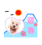 お正月うにくん（個別スタンプ：6）